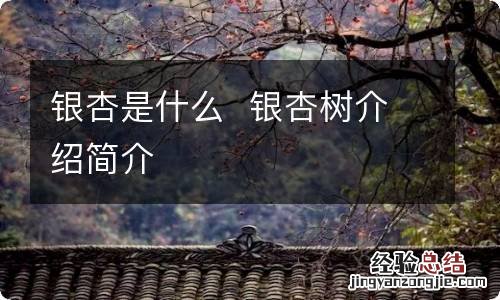 银杏是什么银杏树介绍简介