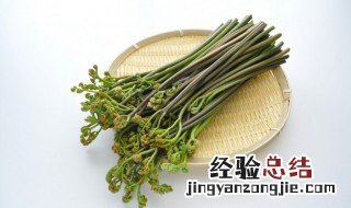 蕨菜是发物吗 蕨菜适合哪些人使用