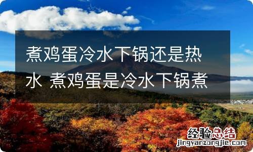 煮鸡蛋冷水下锅还是热水 煮鸡蛋是冷水下锅煮海参热水下锅煮呢