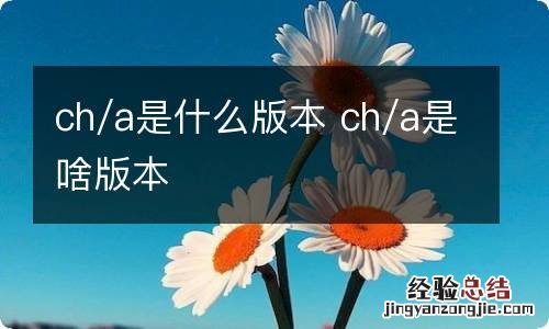 ch/a是什么版本 ch/a是啥版本