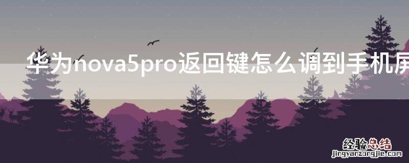 华为nova5pro返回键怎么调到手机屏上