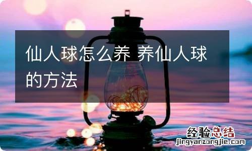 仙人球怎么养 养仙人球的方法