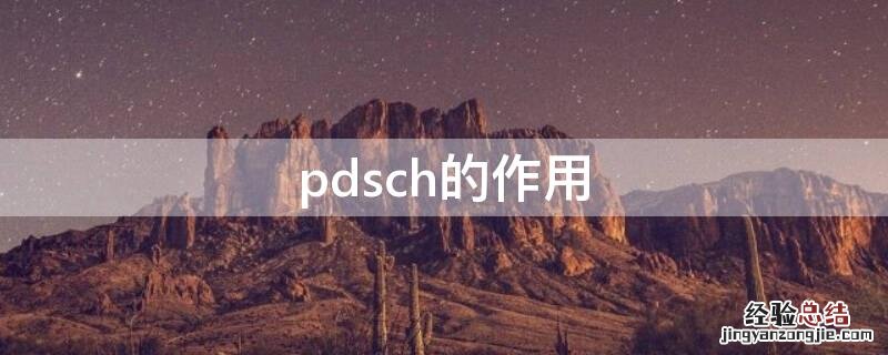 PD的作用 pdsch的作用