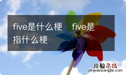 five是什么梗five是指什么梗