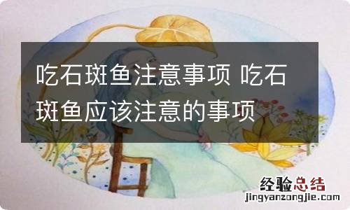 吃石斑鱼注意事项 吃石斑鱼应该注意的事项