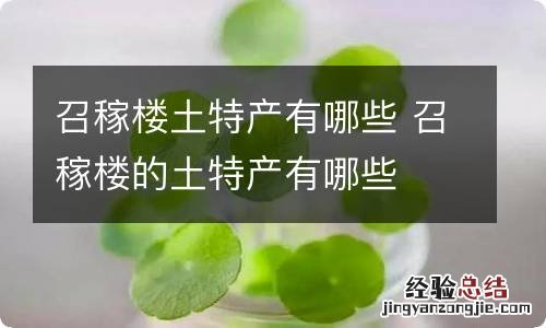 召稼楼土特产有哪些 召稼楼的土特产有哪些