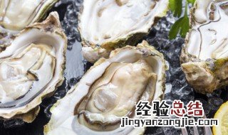 生蚝可以水煮吗 生蚝水煮可以吗