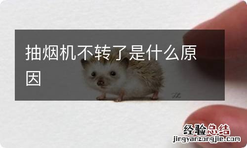 抽烟机不转了是什么原因