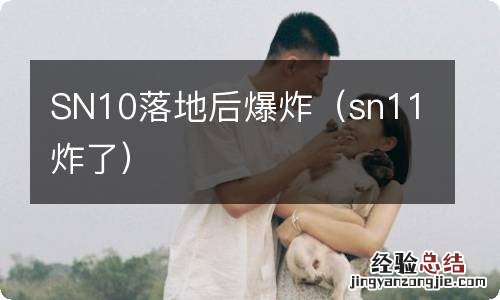 sn11炸了 SN10落地后爆炸