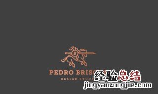 pedro是什么牌子的包 pedro是什么牌子