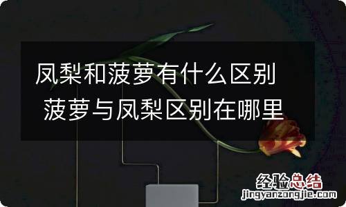 凤梨和菠萝有什么区别 菠萝与凤梨区别在哪里