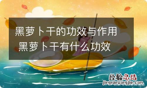 黑萝卜干的功效与作用 黑萝卜干有什么功效