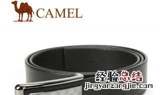 camel是什么牌子