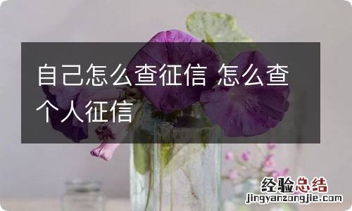 自己怎么查征信 怎么查个人征信