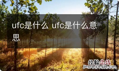 ufc是什么 ufc是什么意思