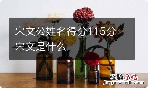 宋文公姓名得分115分 宋文是什么