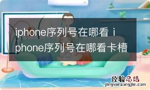 iphone序列号在哪看 iphone序列号在哪看卡槽