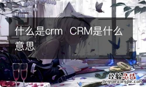 什么是crmCRM是什么意思