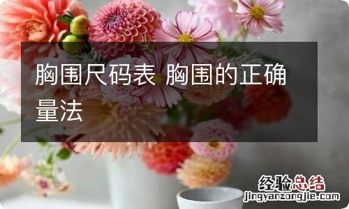 胸围尺码表 胸围的正确量法