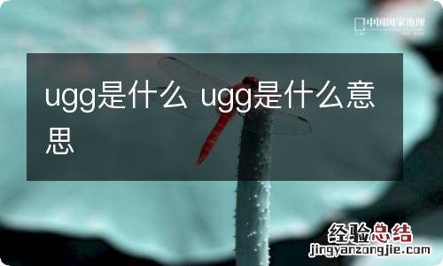 ugg是什么 ugg是什么意思