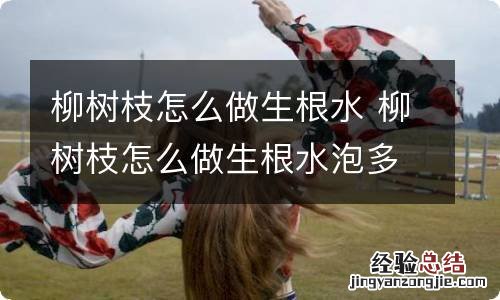 柳树枝怎么做生根水 柳树枝怎么做生根水泡多久