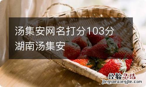 汤集安网名打分103分 湖南汤集安