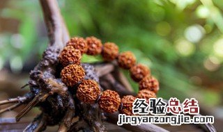 星月菩提怎么玩 星月菩提怎么玩?