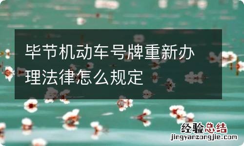 毕节机动车号牌重新办理法律怎么规定