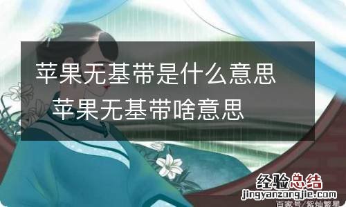 苹果无基带是什么意思苹果无基带啥意思