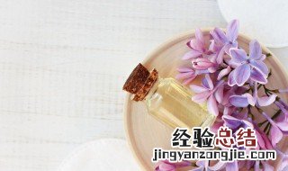 茶花精油提取方法 茶花精油使用方法