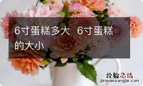 6寸蛋糕多大6寸蛋糕的大小