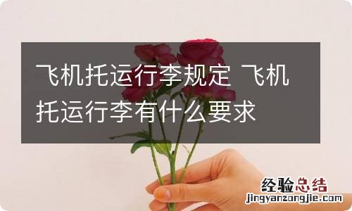 飞机托运行李规定 飞机托运行李有什么要求