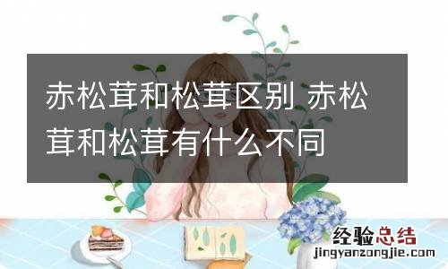 赤松茸和松茸区别 赤松茸和松茸有什么不同