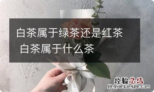 白茶属于绿茶还是红茶 白茶属于什么茶