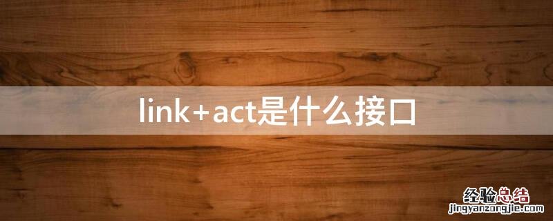 link act是什么接口