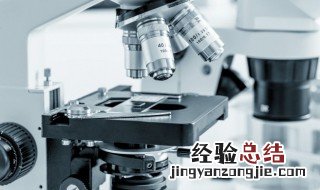 荷兰生物学家列文虎克发明了什么 列文虎克发明了什么