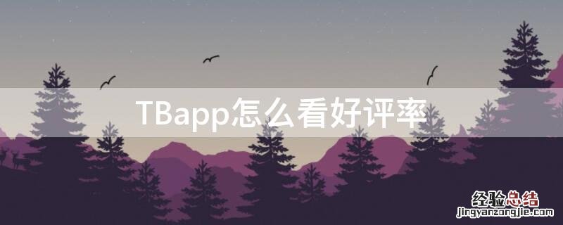 TBapp怎么看好评率