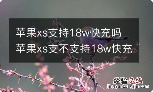 苹果xs支持18w快充吗 苹果xs支不支持18w快充