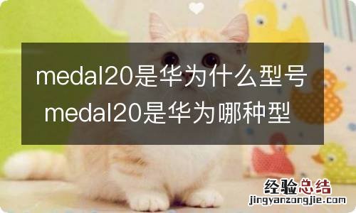 medal20是华为什么型号 medal20是华为哪种型号