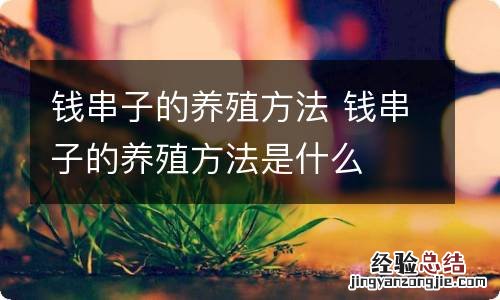 钱串子的养殖方法 钱串子的养殖方法是什么