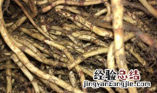 鱼腥草根怎么保鲜 鱼腥草根怎么保鲜的