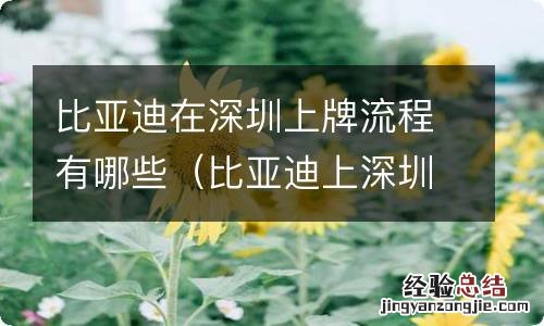 比亚迪上深圳牌条件 比亚迪在深圳上牌流程有哪些