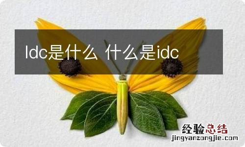 Idc是什么 什么是idc