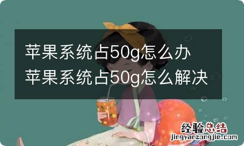 苹果系统占50g怎么办 苹果系统占50g怎么解决