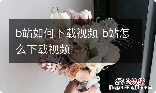 b站如何下载视频 b站怎么下载视频