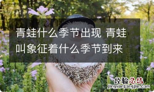 青蛙什么季节出现 青蛙叫象征着什么季节到来