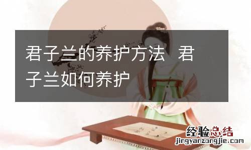 君子兰的养护方法君子兰如何养护