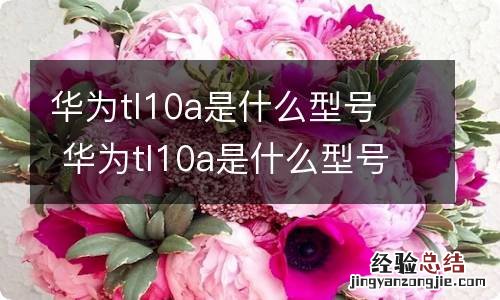 华为tl10a是什么型号华为tl10a是什么型号手机