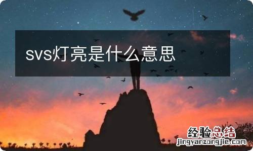 svs灯亮是什么意思