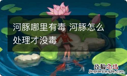 河豚哪里有毒 河豚怎么处理才没毒